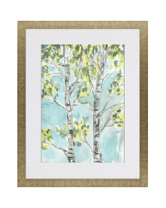 Birch Trees I