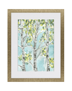 Birch Trees II