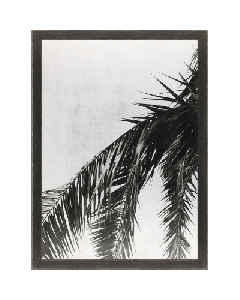 Palm On Silver Leaf