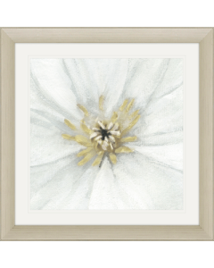 Floral Fresh - Focus