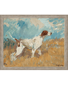 English Setter On Watch